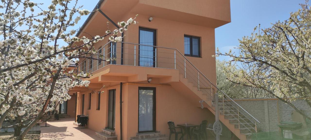 Home Naya بوخارست المظهر الخارجي الصورة