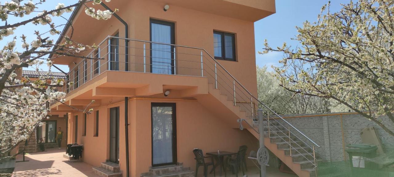 Home Naya بوخارست المظهر الخارجي الصورة